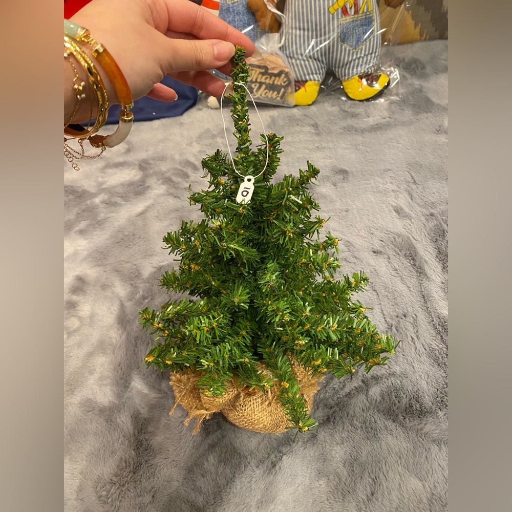 Mini Christmas Tree (Without ornaments)